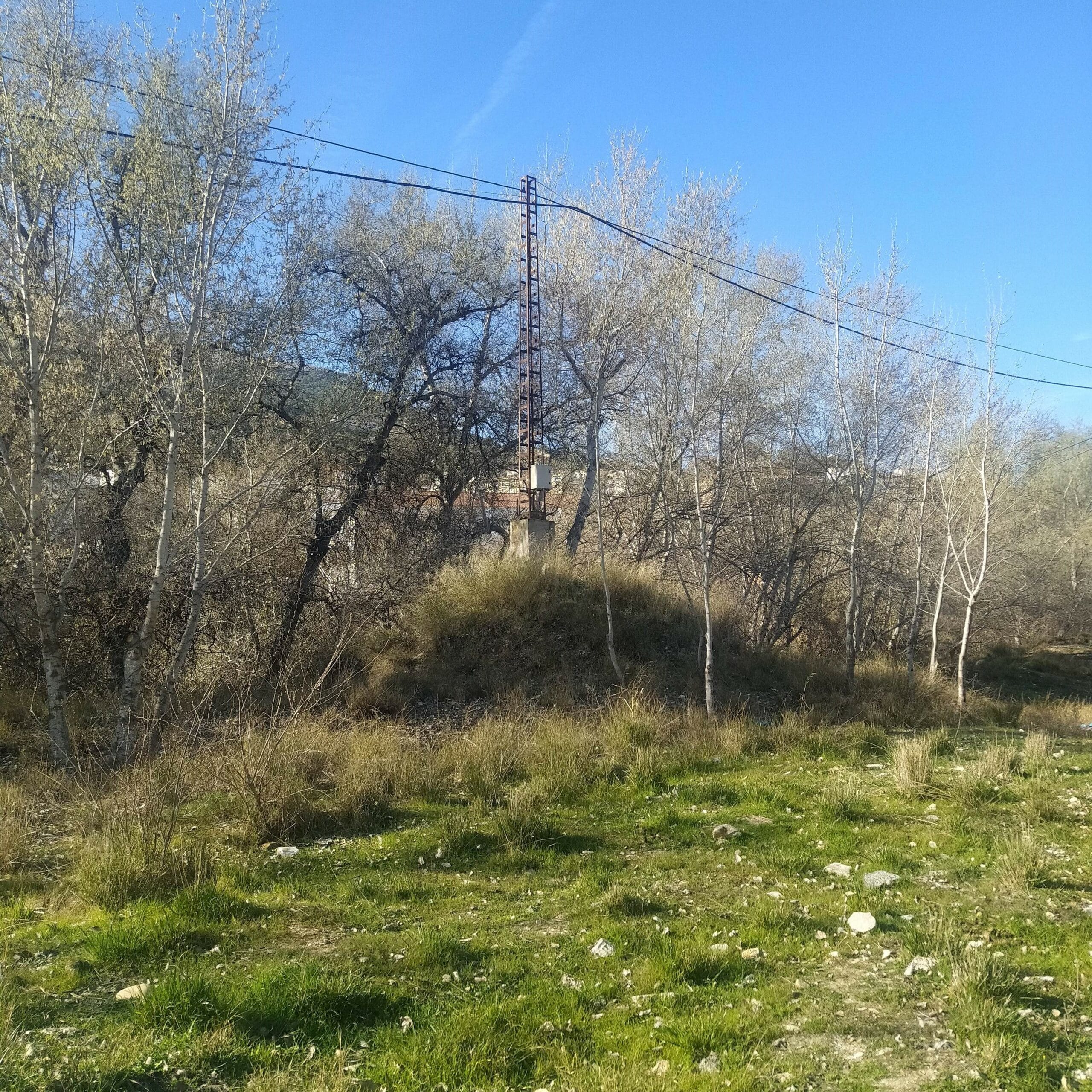 Desmantelamiento Redes Paseo Del Genil 2