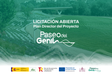 Licitación Plan Director Paseo Del Genil