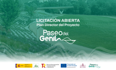 Licitación Plan Director Paseo Del Genil