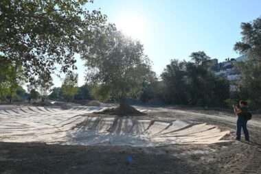 Proyecto Paseo Genil2red 842x562