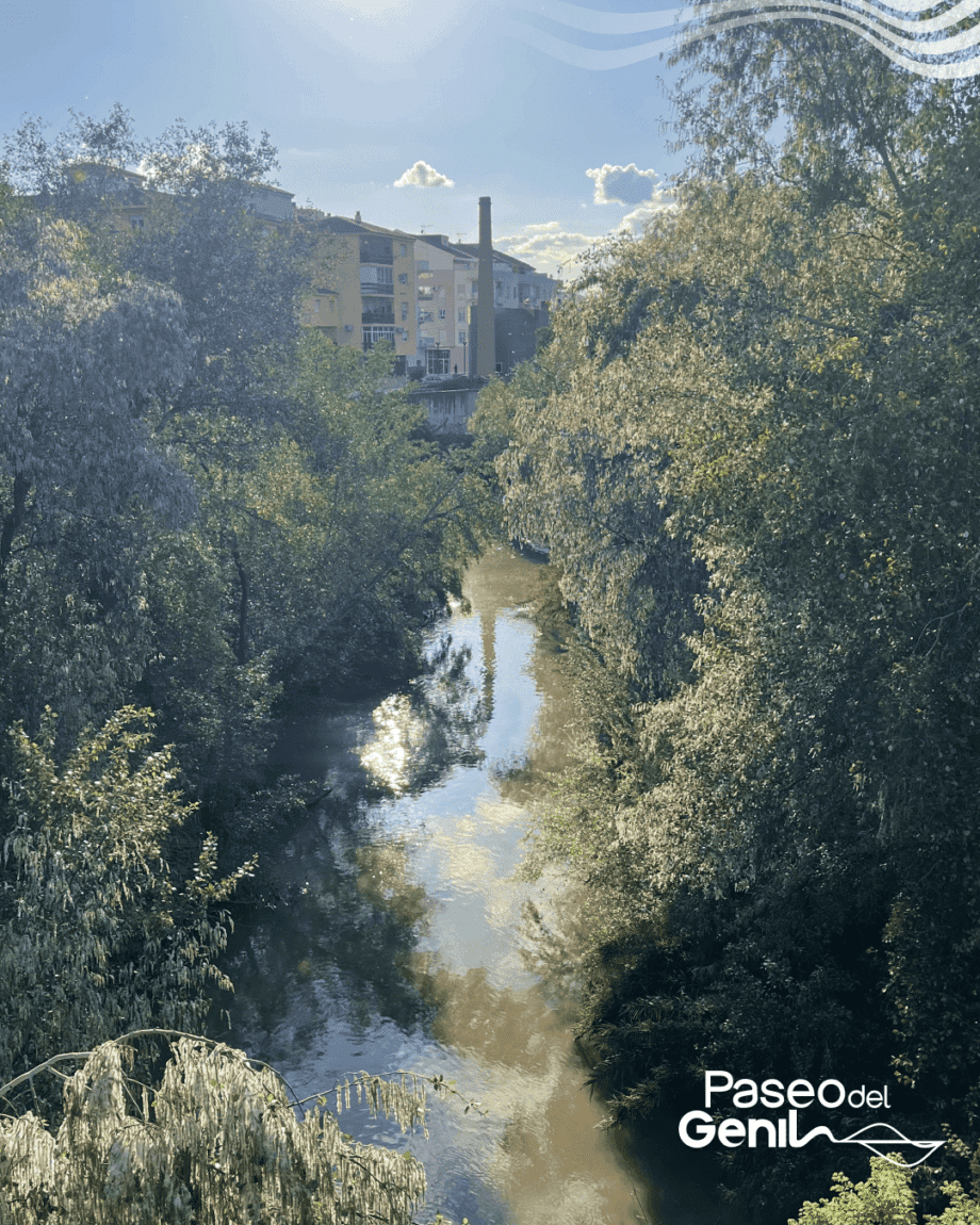 Memoria fotográfica “El Genil en tu mirada” 1 Concurso Fotográfico “el Genil En Tu Mirada”