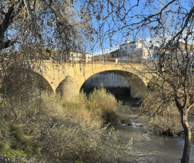 Walking Rivers Paseo del Genil: una iniciativa internacional por el río Genil 2 Entorno natural de Paseo del Genil en Loja