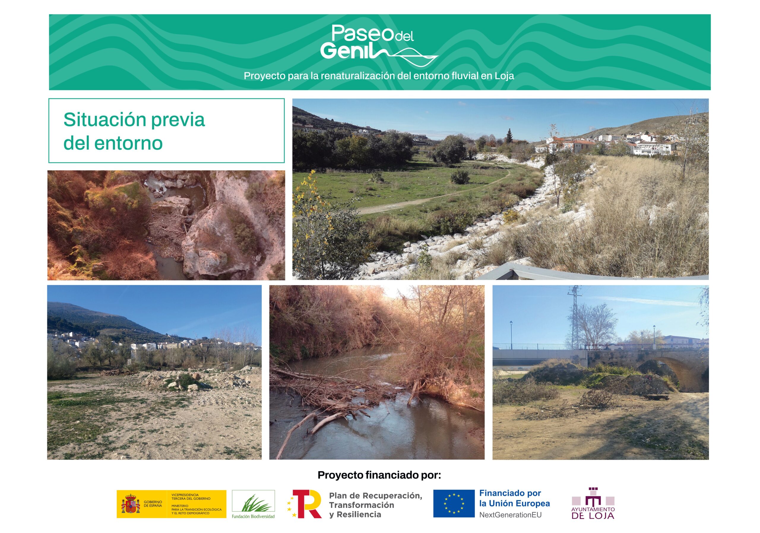 Proyecto 8 0 scaled